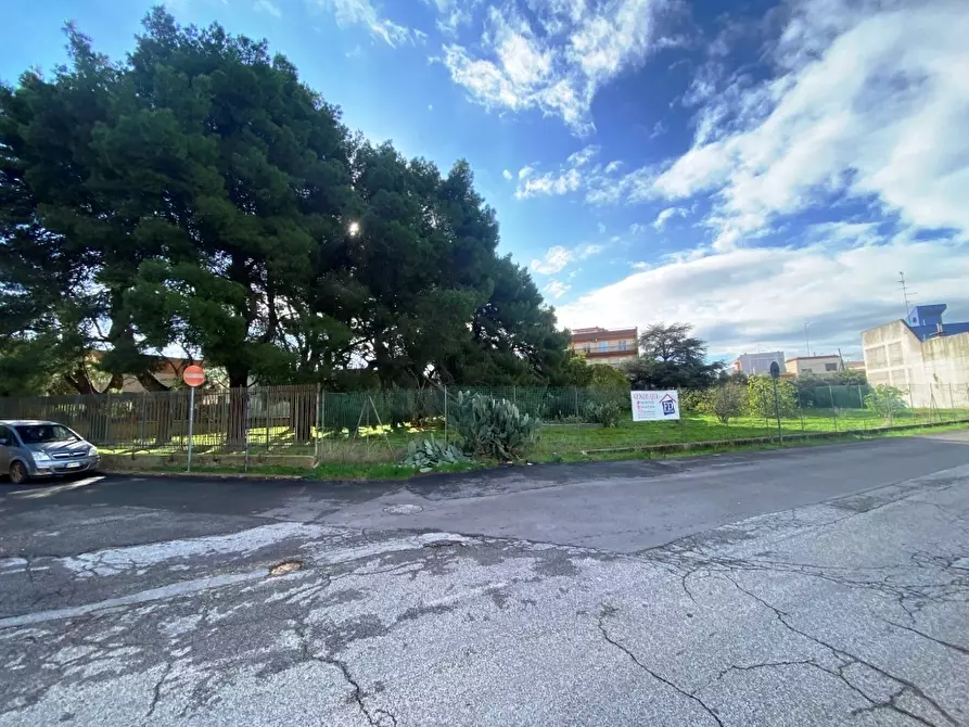 Immagine 4 di Terreno agricolo in vendita  in Via Vito Donato Bianco a Sammichele Di Bari