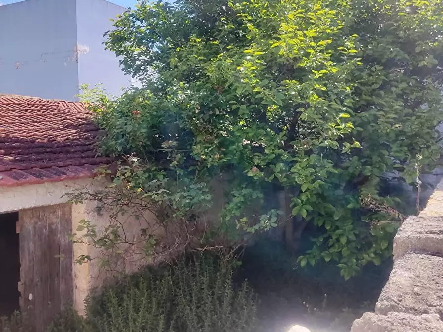 Immagine 2 di Rustico / casale in vendita  in Vico Aurelio Saffi 4 a Sammichele Di Bari