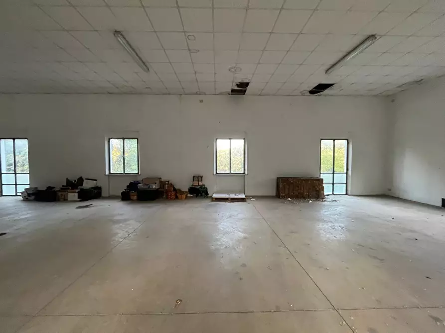 Immagine 9 di Attività artigianale in affitto  in Viale Lungo Fiume 8 a Novafeltria