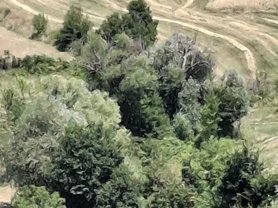 Immagine 3 di Rustico / casale in vendita  in Via Giacomo Leopardi 41 a San Leo