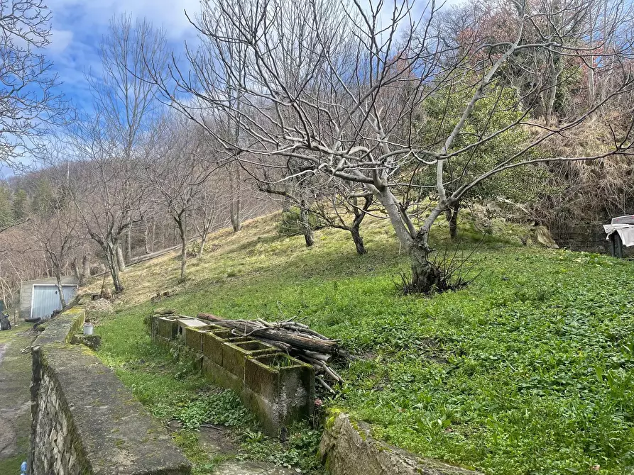 Immagine 8 di Terratetto in vendita  in soanne a Pennabilli