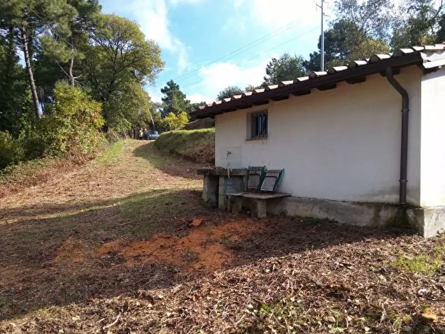 Immagine 22 di Terreno agricolo in vendita  in via di caroggia a Lucca