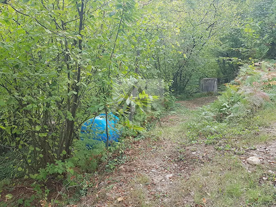 Immagine 37 di Rustico / casale in vendita  in di ronchi a Capannori