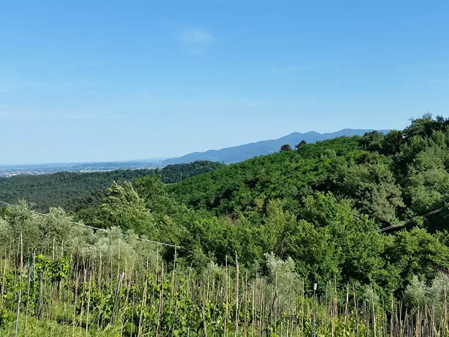 Immagine 30 di Rustico / casale in vendita  in bocconi a Lucca