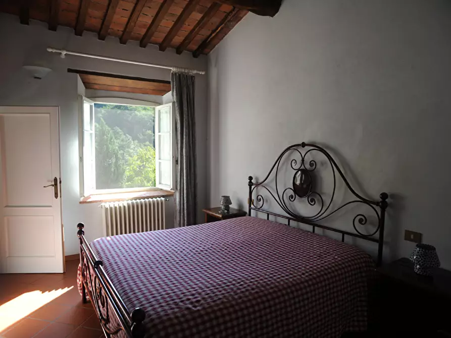 Immagine 65 di Casa vacanze in affitto  in Località Mencone 8 a Pescaglia