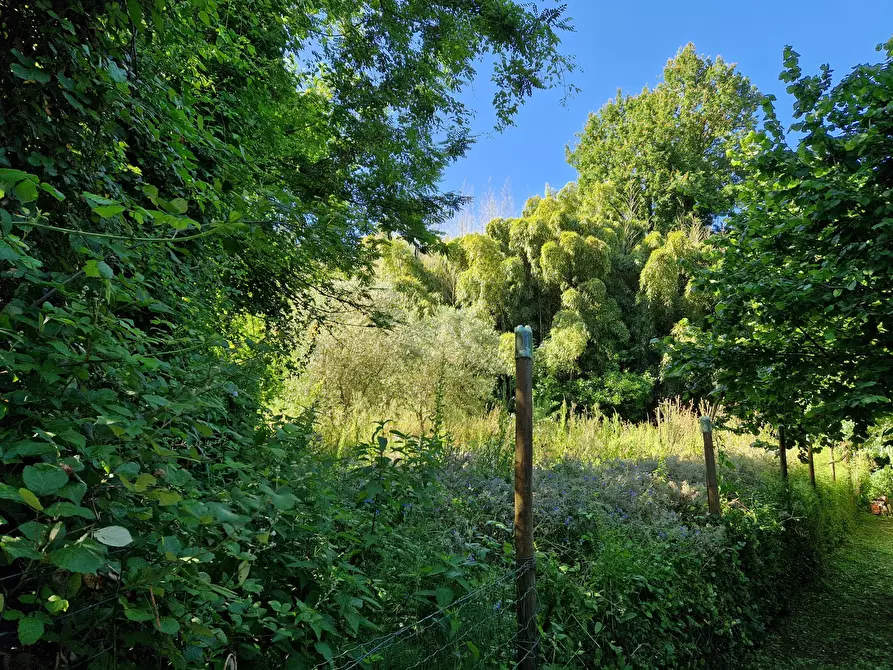 Immagine 11 di Terreno agricolo in vendita  in Via Giovanni Fattori a San Giuliano Terme