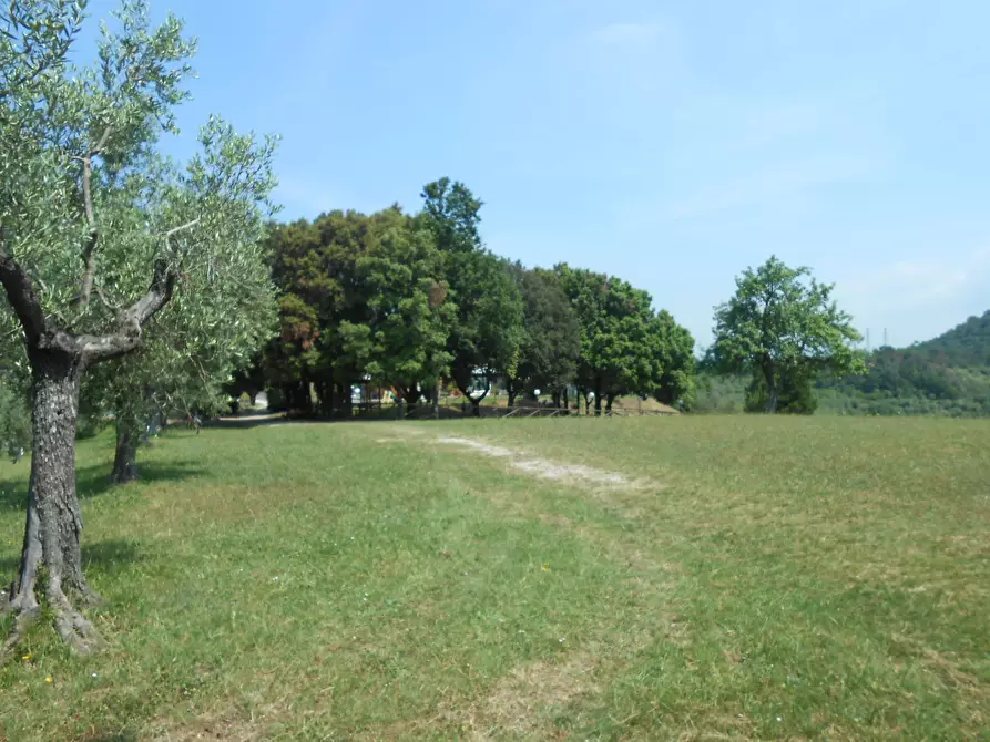 Immagine 37 di Rustico / casale in vendita  in Via per massaciuccoli a San Giuliano Terme