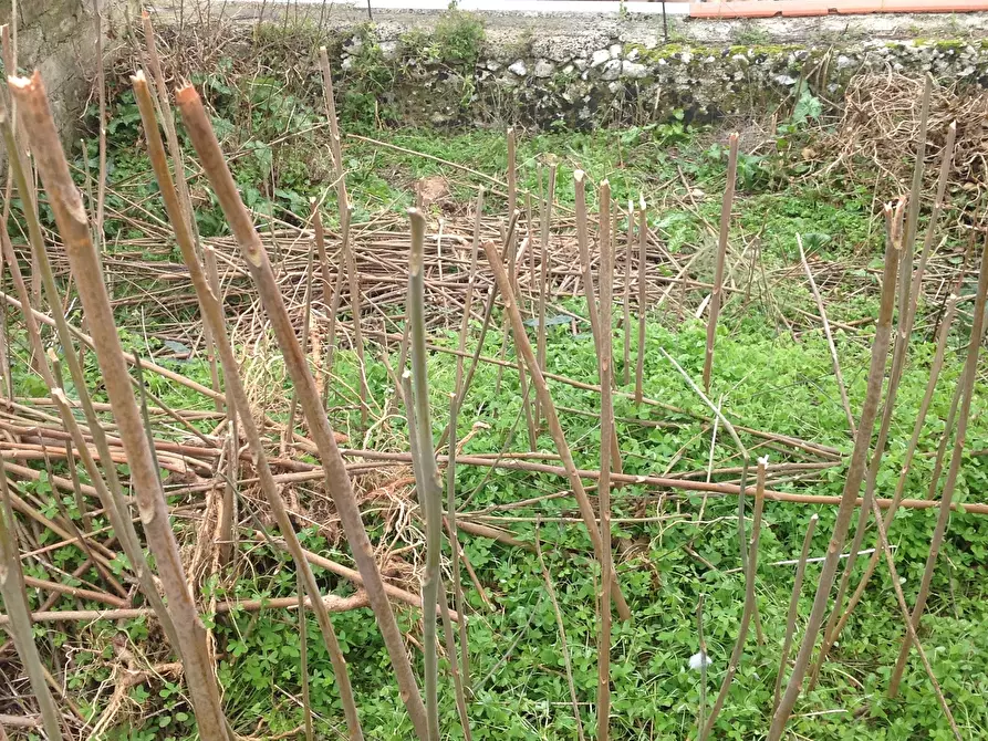 Immagine 3 di Terreno edificabile in vendita  a Canicattini Bagni