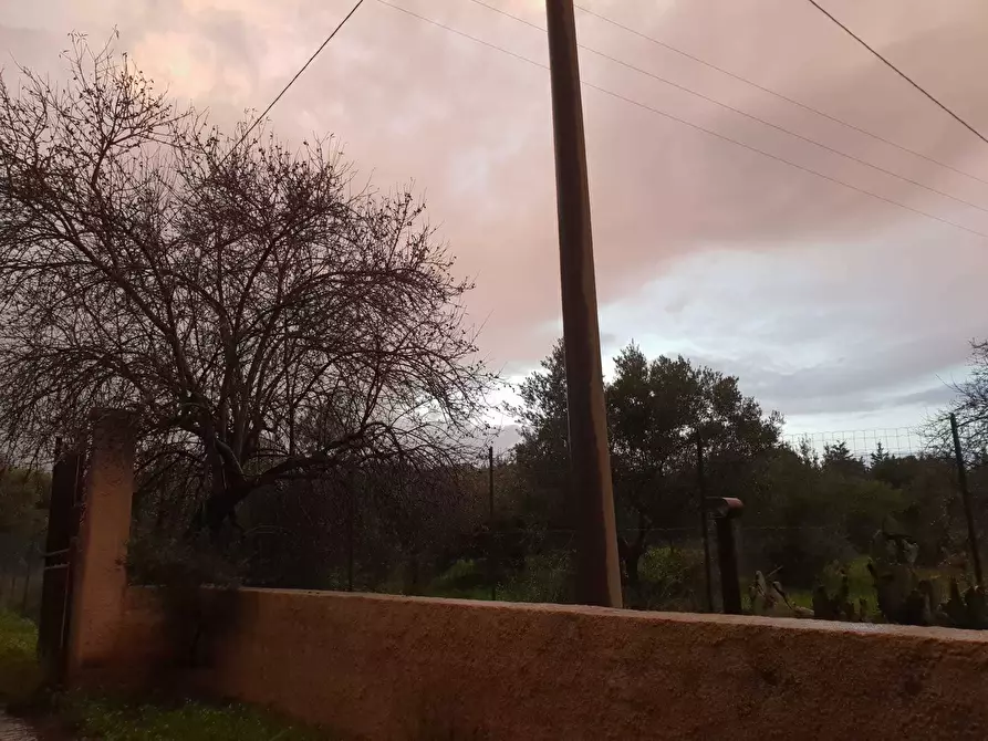 Immagine 10 di Terreno agricolo in vendita  a Siracusa