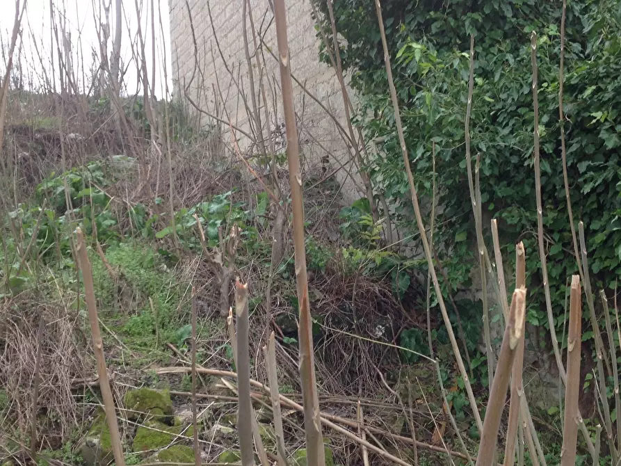 Immagine 4 di Terreno edificabile in vendita  a Canicattini Bagni