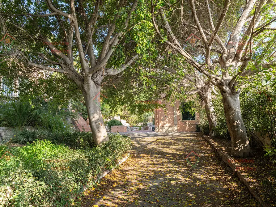 Immagine 12 di Appartamento in affitto  a Siracusa