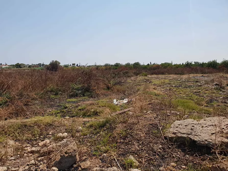 Immagine 3 di Terreno agricolo in vendita  a Siracusa