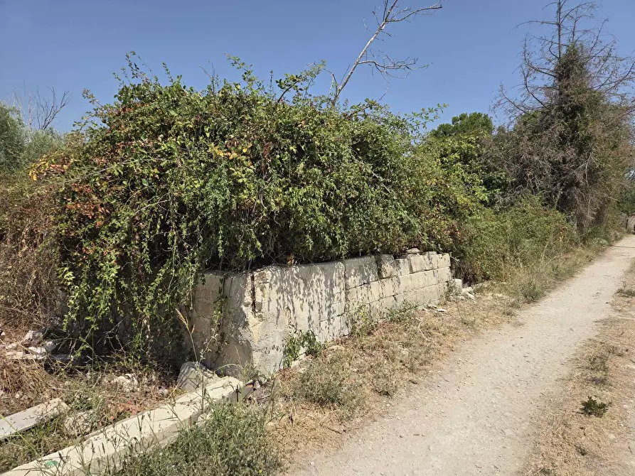 Immagine 3 di Terreno agricolo in vendita  a Siracusa