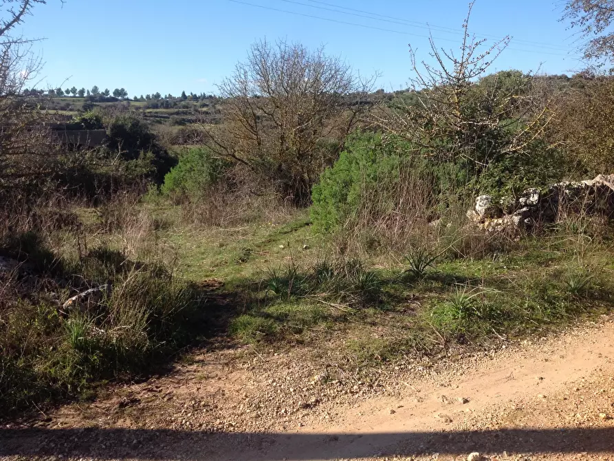 Immagine 1 di Terreno agricolo in vendita  a Siracusa