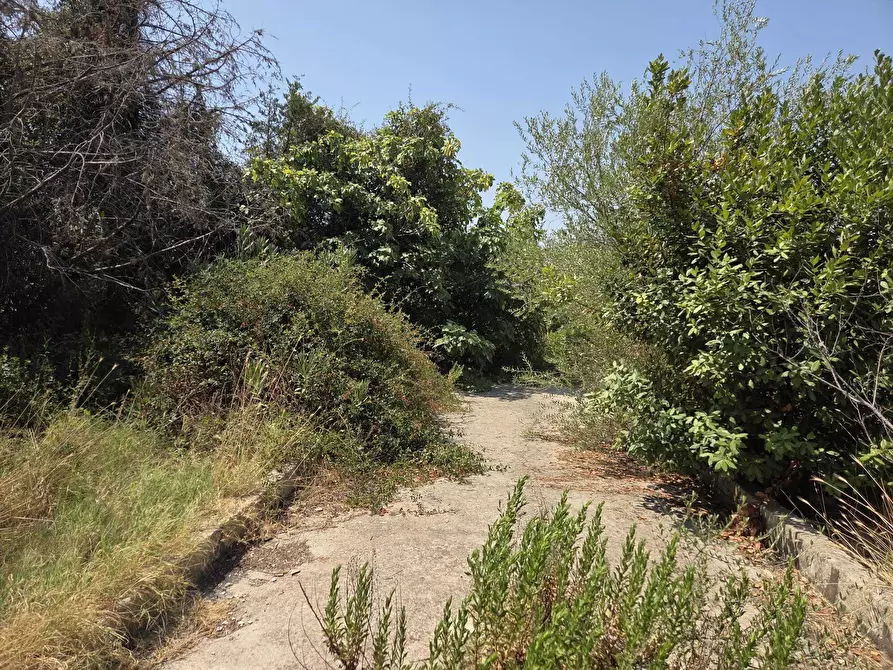 Immagine 5 di Terreno agricolo in vendita  a Siracusa