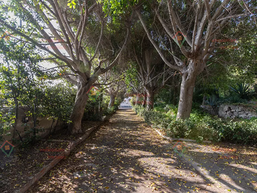 Immagine 2 di Appartamento in affitto  a Siracusa