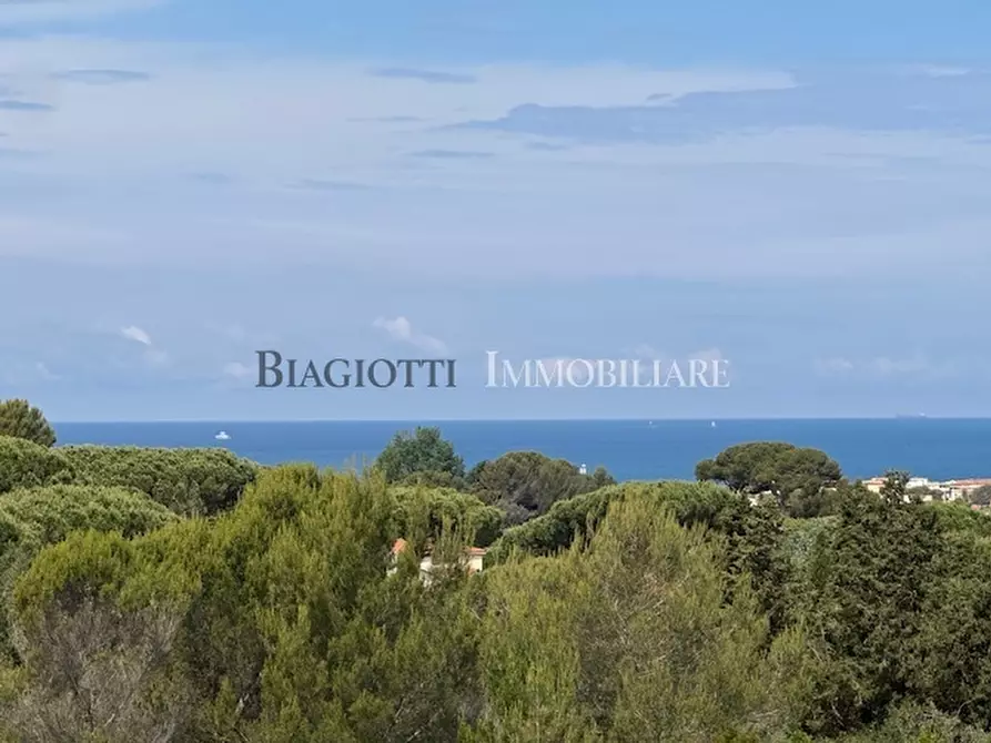 Immagine 35 di Villa in vendita  a Livorno