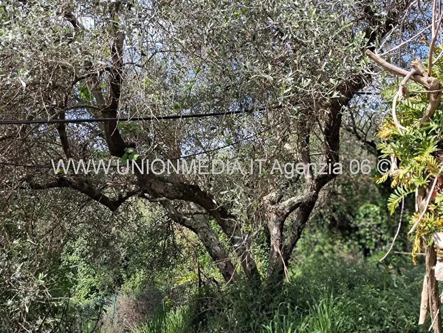 Immagine 6 di Casa indipendente in vendita  a Arcola