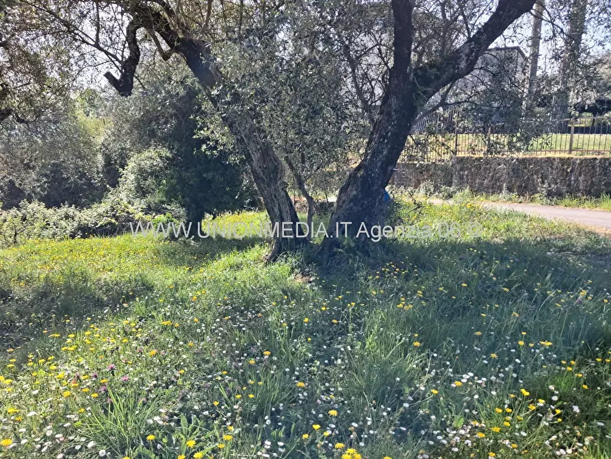 terreno edificabile in vendita ad Arcola