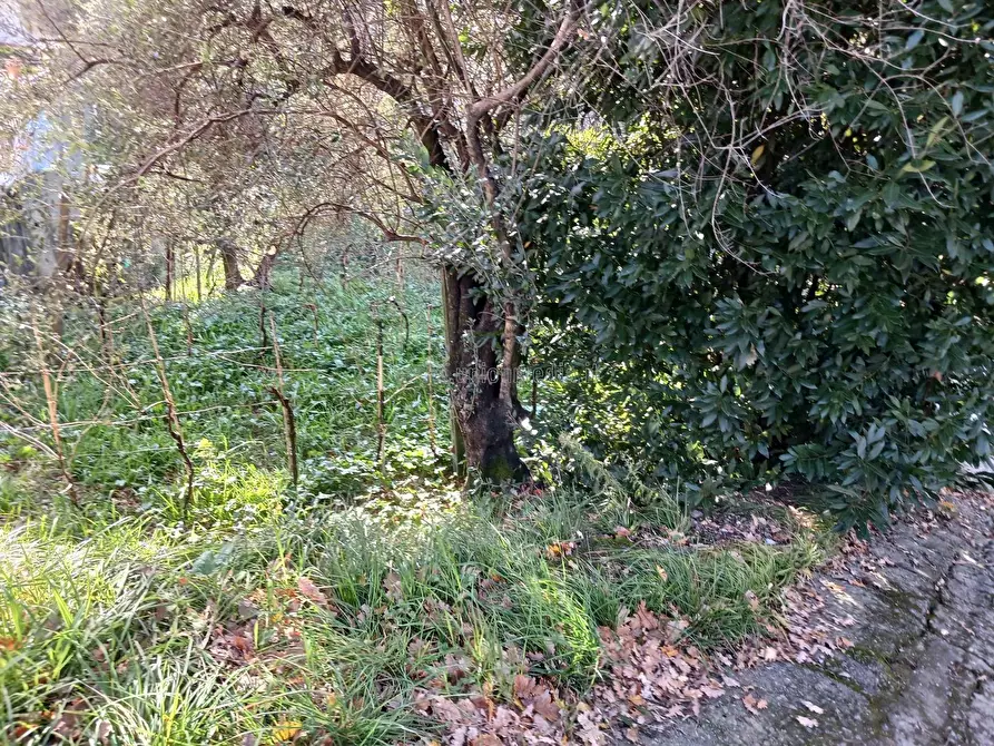 Immagine 20 di Casa indipendente in vendita  a Arcola