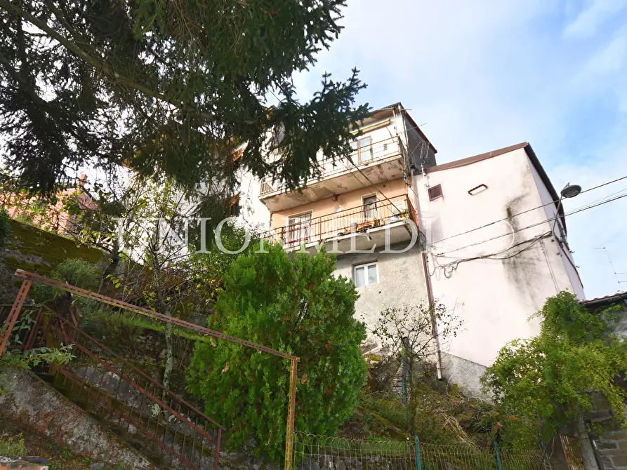 Immagine 27 di Appartamento in vendita  in tendola a Fosdinovo