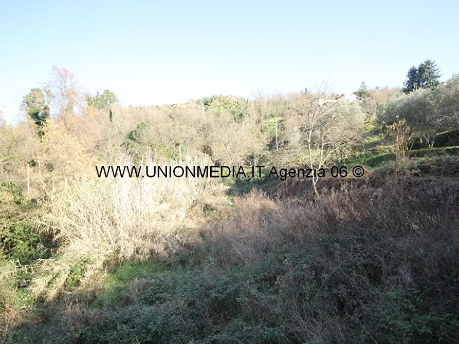 Immagine 22 di Casa indipendente in vendita  a Vezzano Ligure