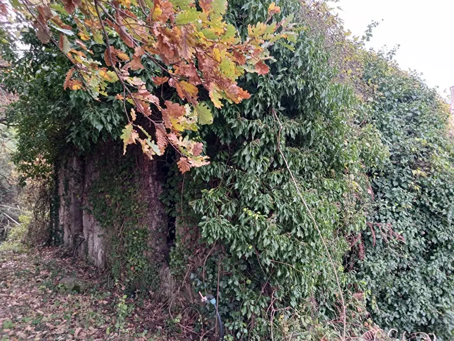 Immagine 8 di Casa indipendente in vendita  a Arcola