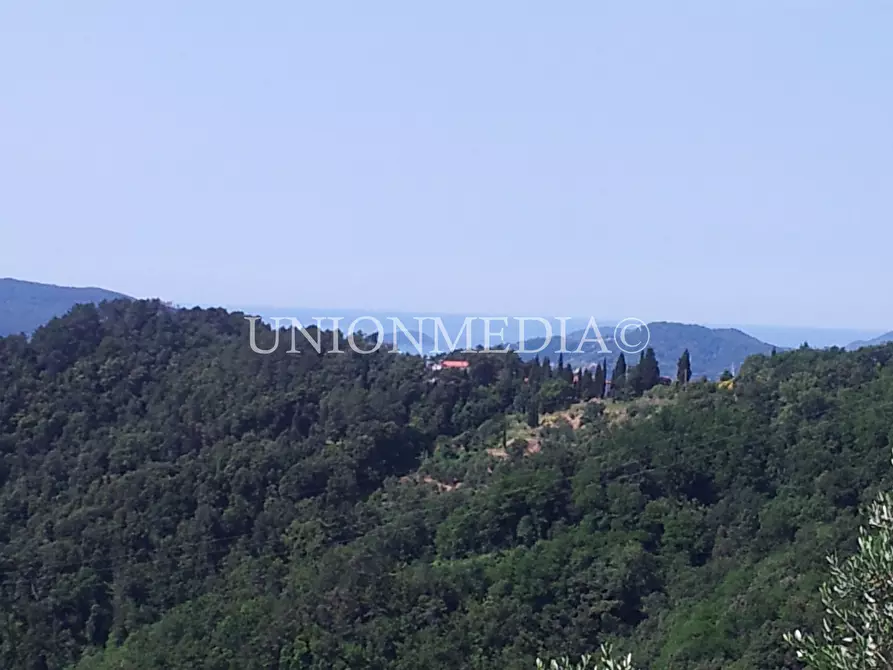 Immagine 32 di Rustico / casale in vendita  in via carignano a Fosdinovo