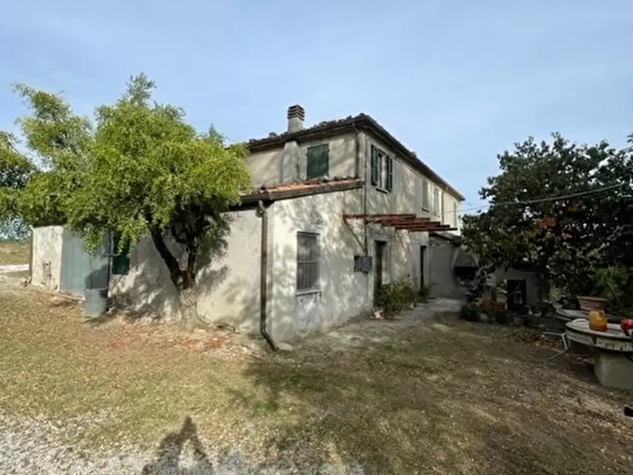 Immagine 3 di Rustico / casale in vendita  in Via San Paolo 5 a Sogliano Al Rubicone