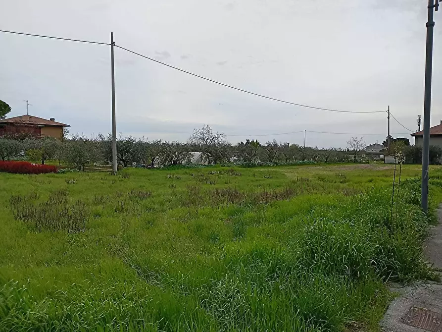 Immagine 1 di Terreno agricolo in vendita  a Verucchio