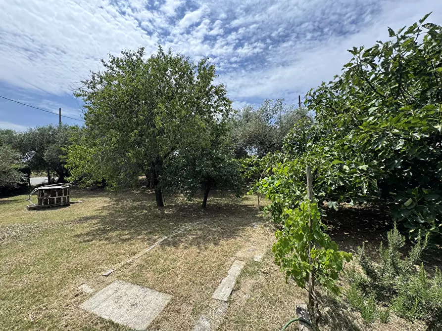 Immagine 2 di Porzione di casa in vendita  in Via Moreta a Coriano
