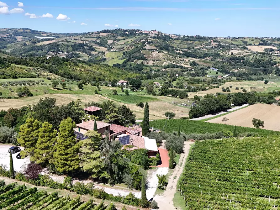 Immagine 15 di Casa indipendente in vendita  in Via Roma 14A a Borghi