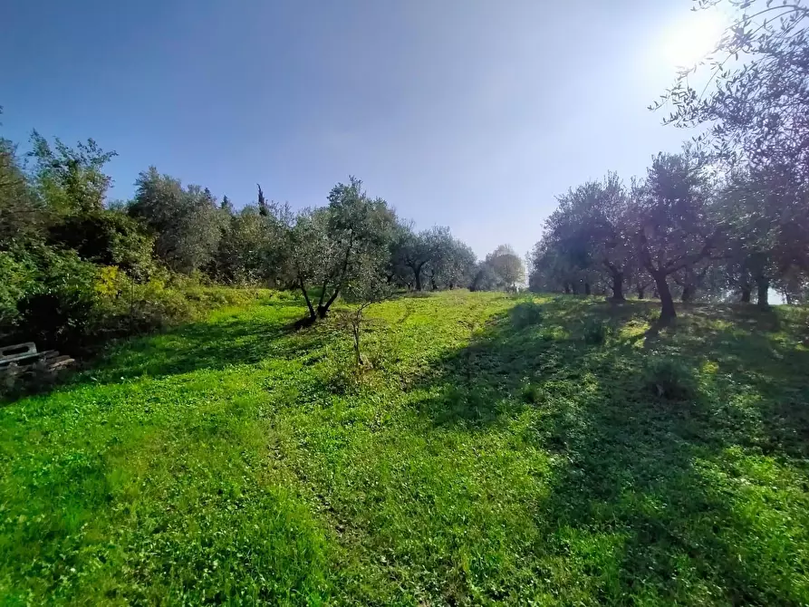 Immagine 37 di Casa indipendente in vendita  in Via Santa Cristina 137A a Rimini