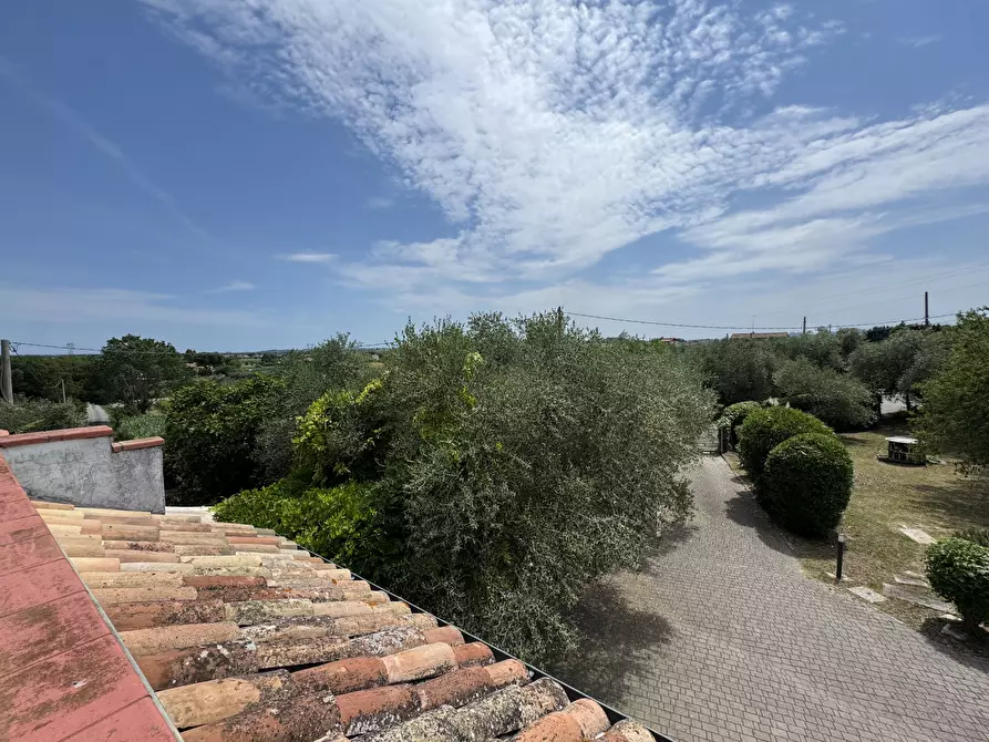 Immagine 48 di Porzione di casa in vendita  in Via Moreta a Coriano