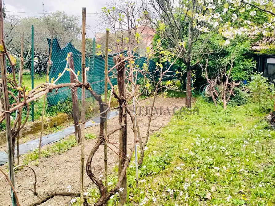 Immagine 11 di Porzione di casa in vendita  in Via della Crociata snc a Sarzana