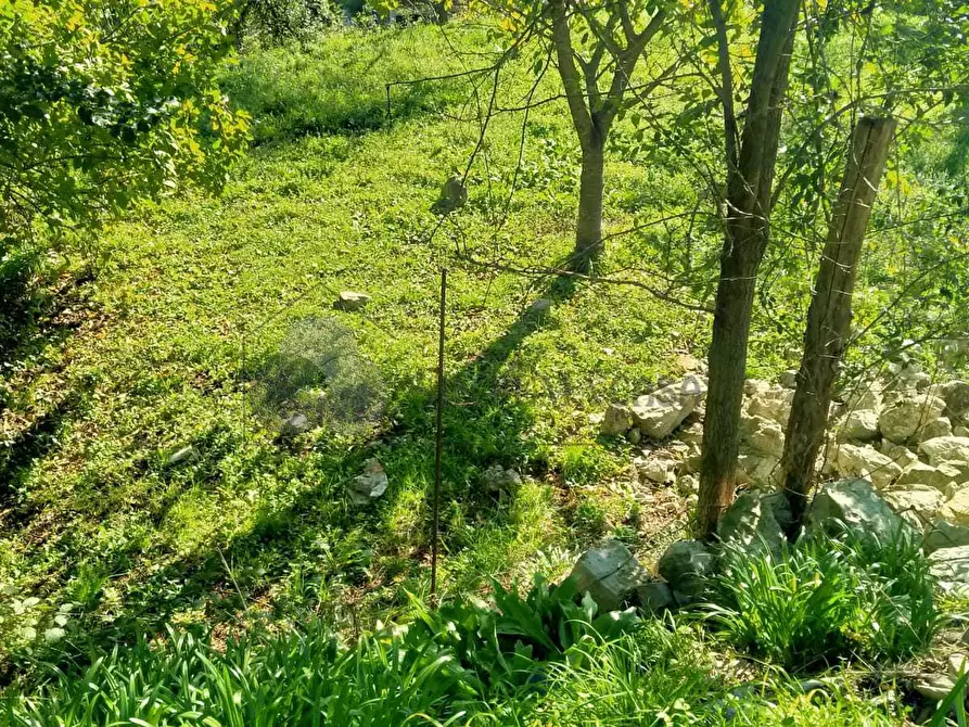 Immagine 12 di Porzione di casa in vendita  in Via Volpara 9 a Sarzana