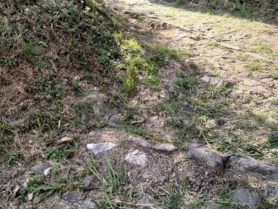 Immagine 21 di Porzione di casa in vendita  in via Figliola snc a Ortonovo