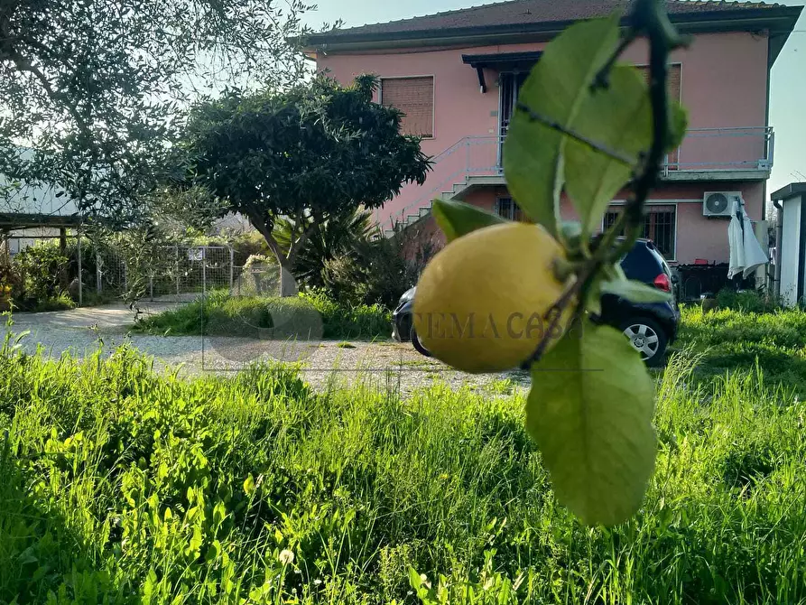 Immagine 3 di Casa indipendente in vendita  a Sarzana