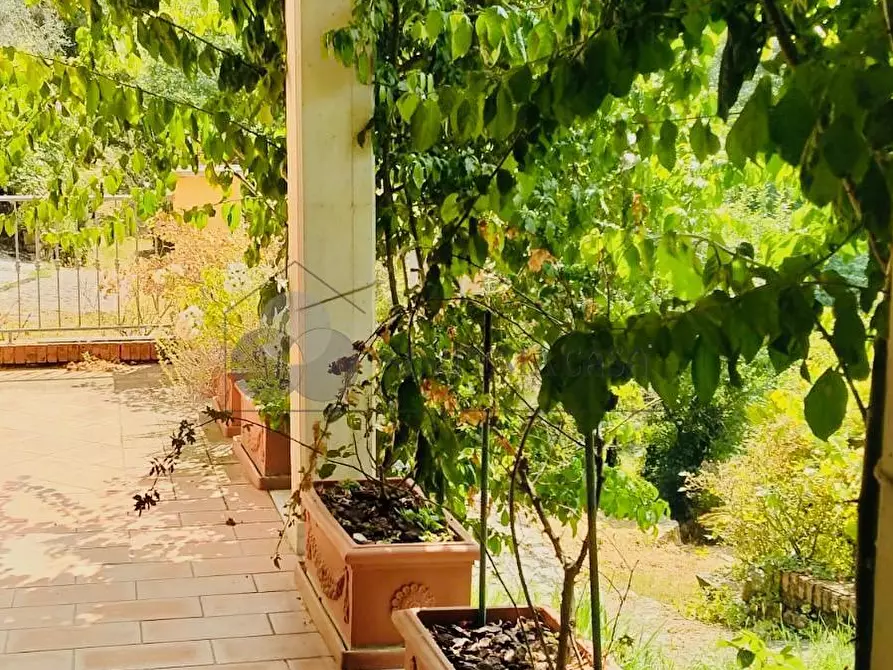 Immagine 28 di Casa indipendente in vendita  in Via Noceto 6 a Ortonovo