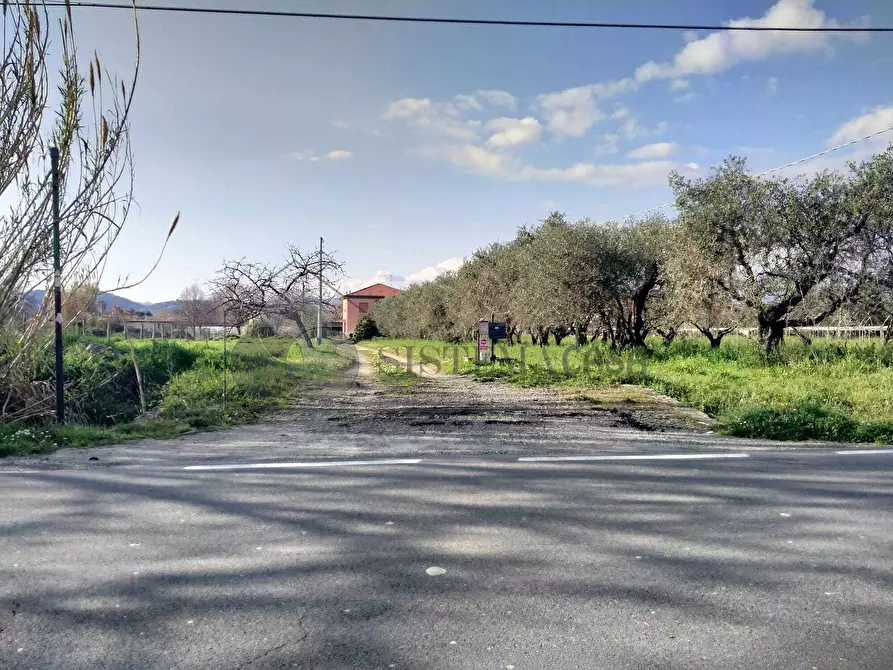 Immagine 4 di Casa indipendente in vendita  a Sarzana