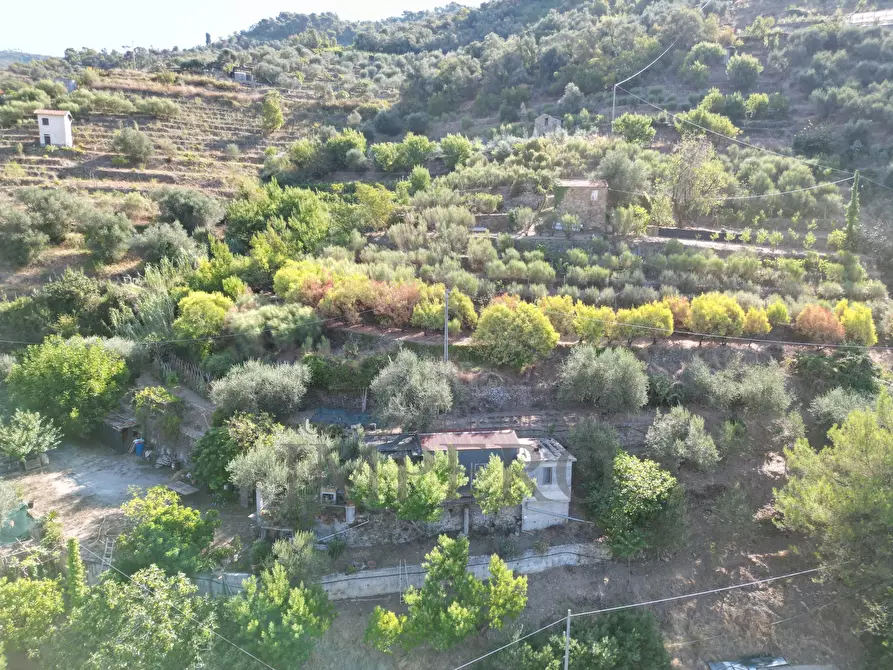 Immagine 6 di Terreno agricolo in vendita  in via provinciale 44 a San Biagio Della Cima