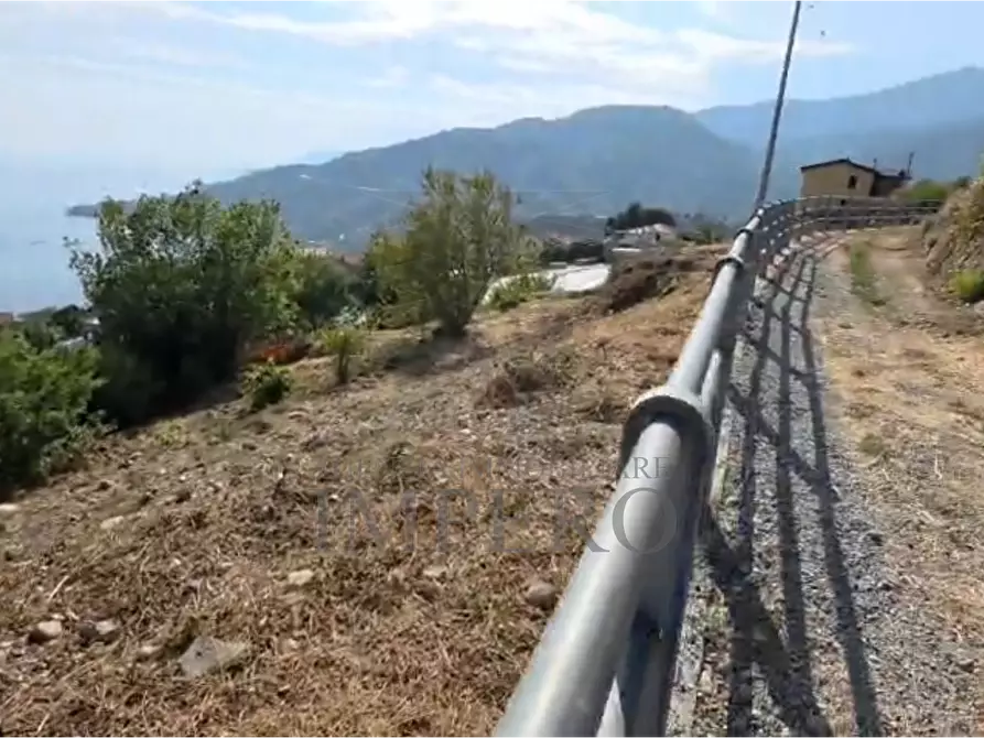 Immagine 5 di Terreno agricolo in vendita  in Località Ville Superiori 30 a Ventimiglia