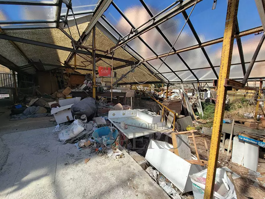 Immagine 18 di Magazzino in vendita  in Strada Statale 1 35 a Camporosso