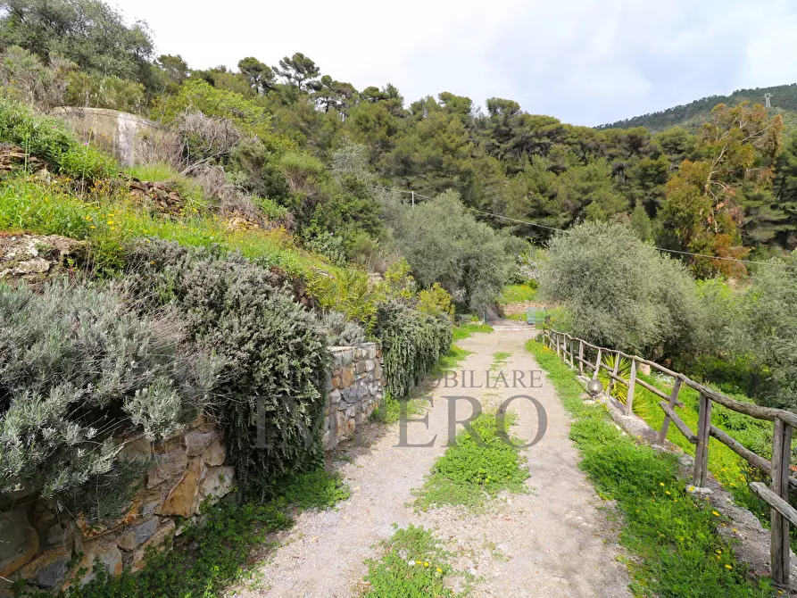 Immagine 39 di Casa indipendente in vendita  in Negi Fumei a Perinaldo