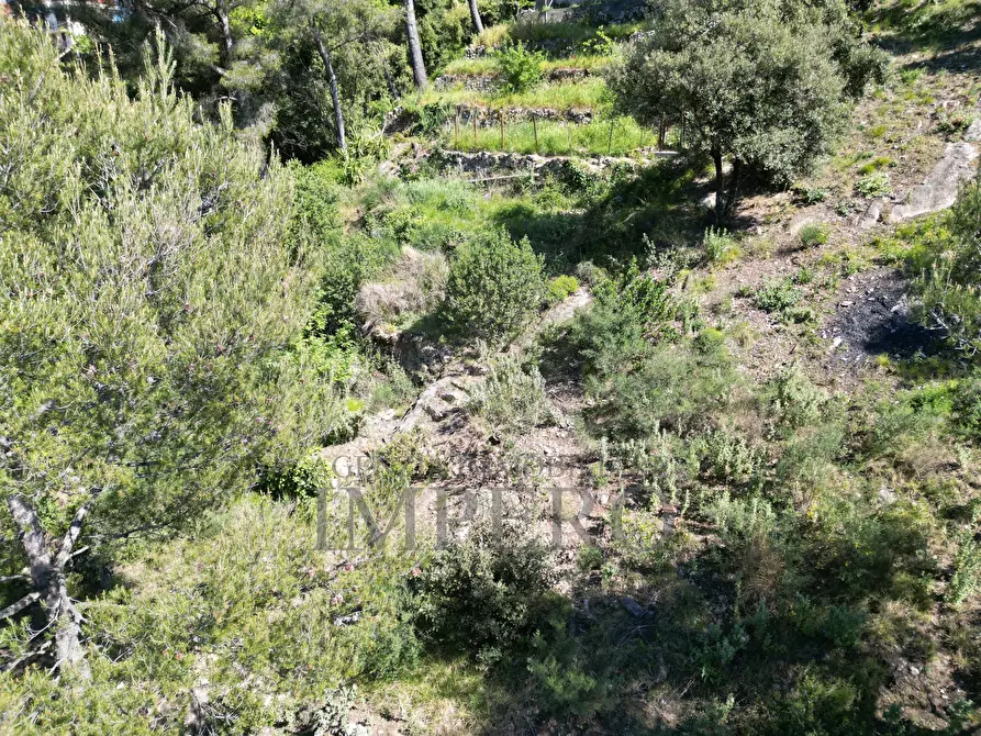 Immagine 44 di Terreno agricolo in vendita  in Via Case Gina 13 a Ventimiglia