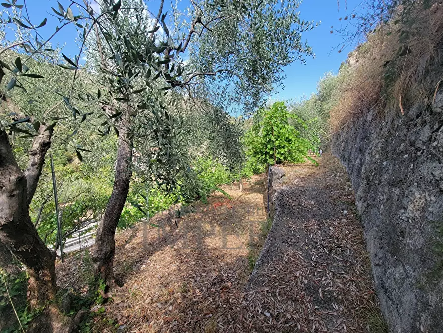 Immagine 66 di Casa bifamiliare in vendita  in Via Nazionale 8 a Airole