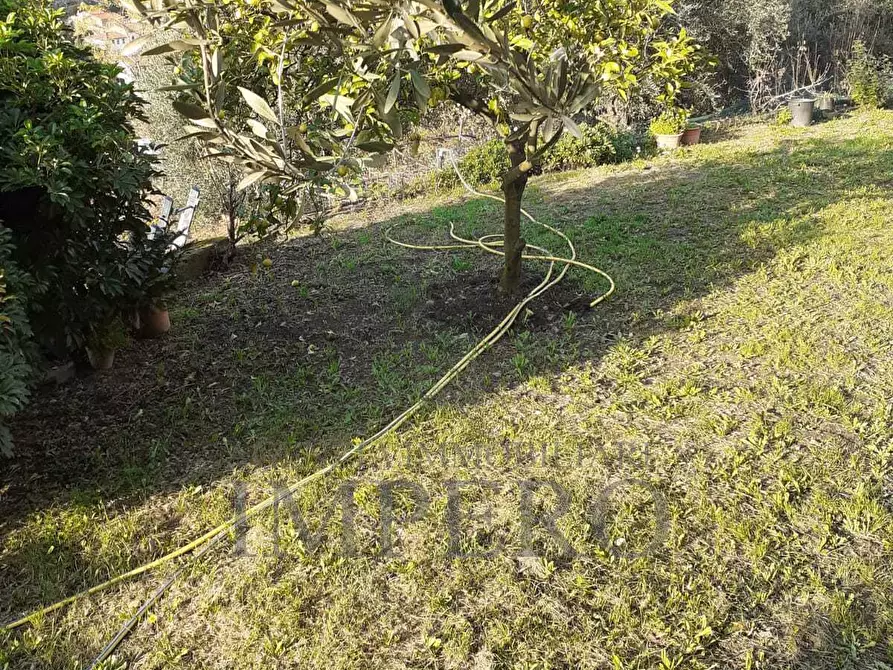 Immagine 20 di Terreno agricolo in vendita  in via provinciale 44 a San Biagio Della Cima