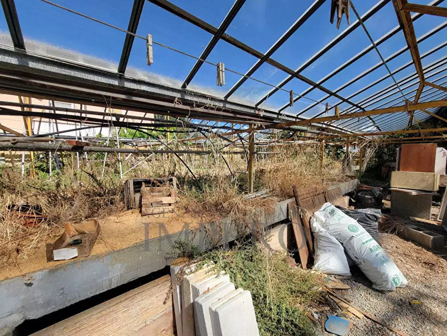 Immagine 12 di Magazzino in vendita  in Strada Statale 1 35 a Camporosso