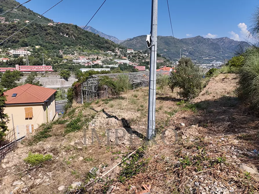 Immagine 28 di Terreno agricolo in vendita  in Corso Limone Piemonte a Ventimiglia