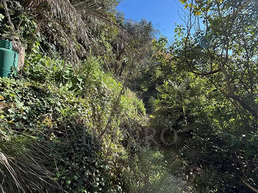 Immagine 16 di Casa indipendente in vendita  in Via Silvio Pellico a Bordighera